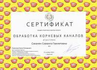 Сертификат врача Саканян С.Г.