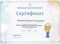 Сертификат врача Межова В.Г.