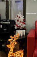 Елена Попова, изображение к комментарию.